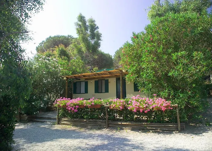 Vakantiepark Acquaviva Village *